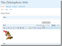 Daleisphere WordPress 2.5 Editor with picture