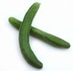 long cucumber